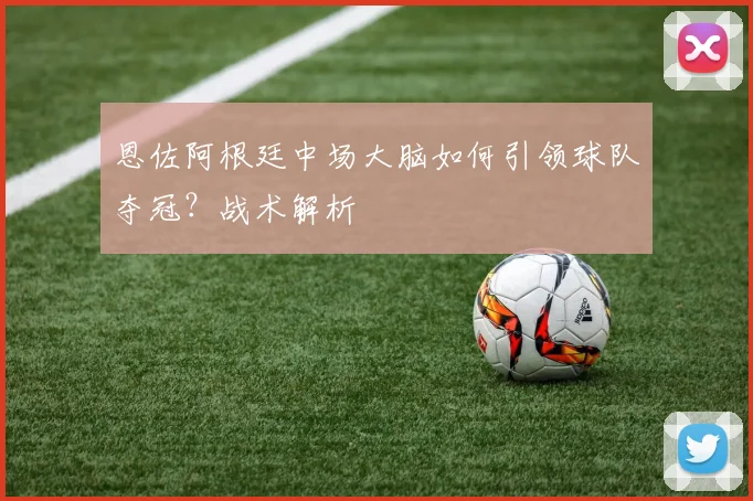 恩佐阿根廷中场大脑如何引领球队夺冠？战术解析